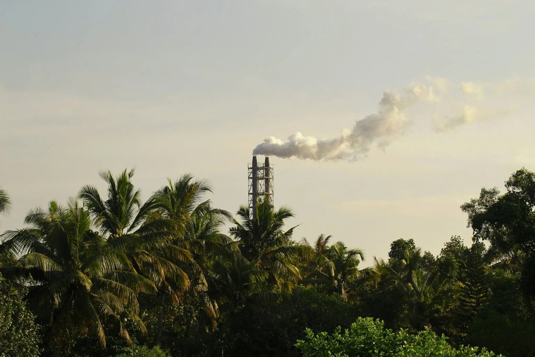The Carbon Footprint of Synthetic Socks vs. Natural Fibers - AMO & Oak